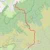 Trace GPS RandoPitons.re #1262 - Du Piton Doré au Piton Textor, itinéraire, parcours